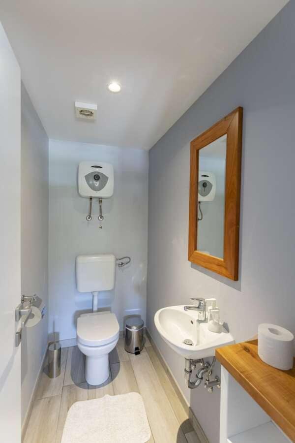 פאזין Villa Viscum In Central Istria For 8 Persons With Large Garden - Pet Friendly מראה חיצוני תמונה