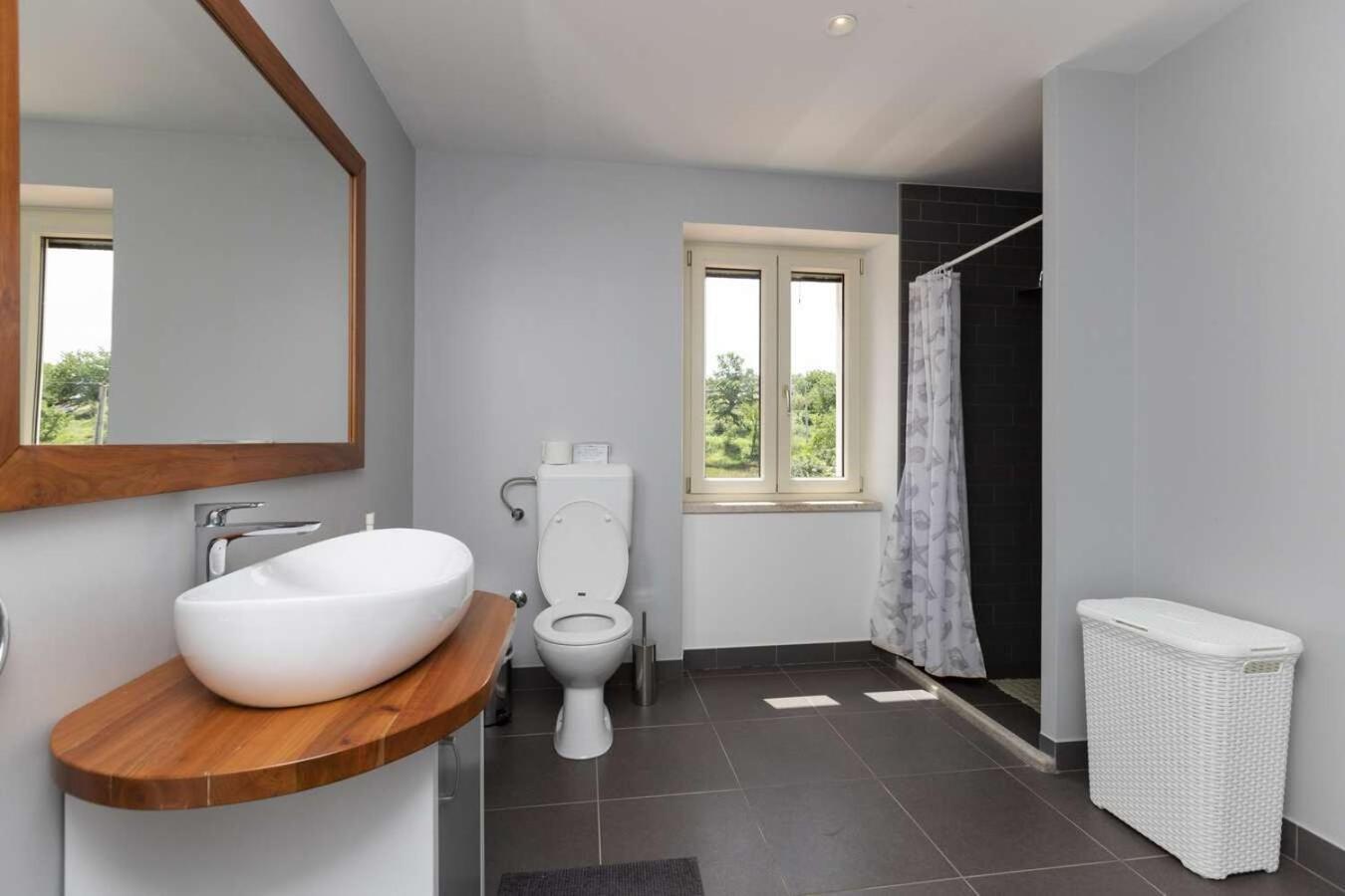פאזין Villa Viscum In Central Istria For 8 Persons With Large Garden - Pet Friendly מראה חיצוני תמונה